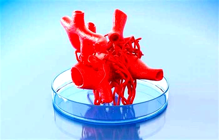 3D Printing for Medical Applications: Bioprinting Tissues and Organs for Medical Research