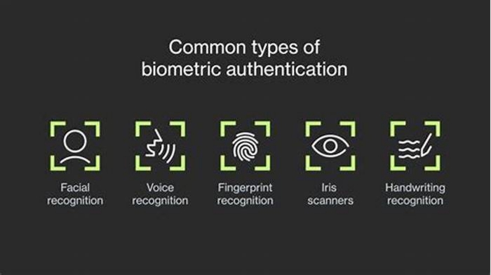 Biometric Authentication Beyond Fingerprints Iris Scanners and Facial Recognition Systems with privacy considerations