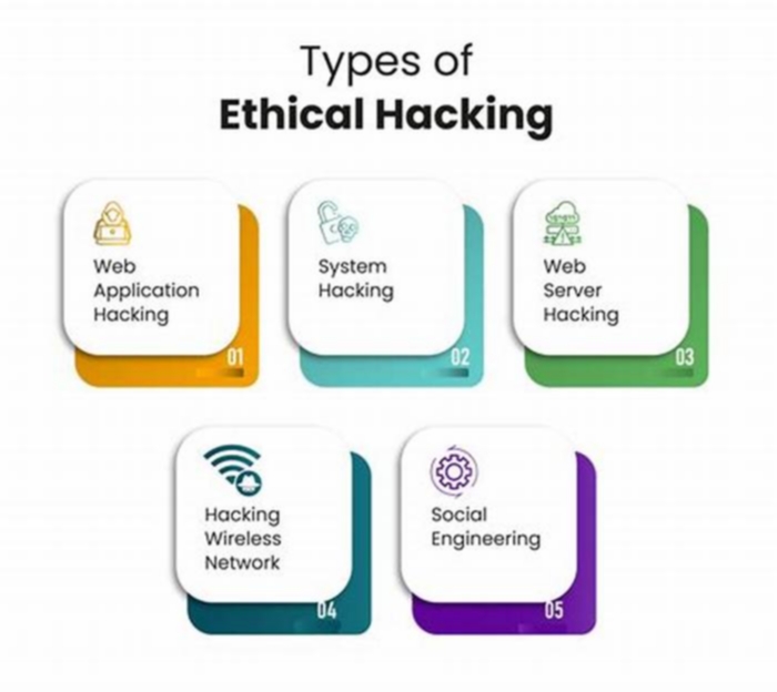 Building a Career in Ethical Hacking Utilizing Penetration Testing Techniques to Identify Network Vulnerabilities