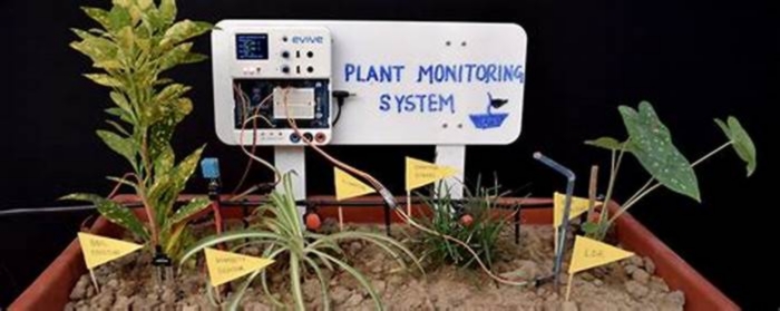 Building a Smart Garden with Sensors and Automation: Monitoring Soil Moisture and Plant Growth