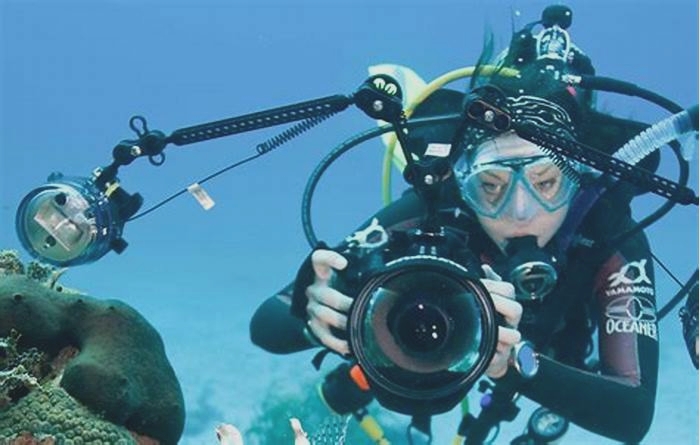 Essential Gear for Underwater Photography Housings Flashes and Capture Techniques