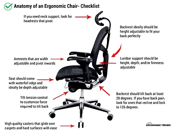 Guide to Choosing the Best Ergonomic Chair for Long Hours