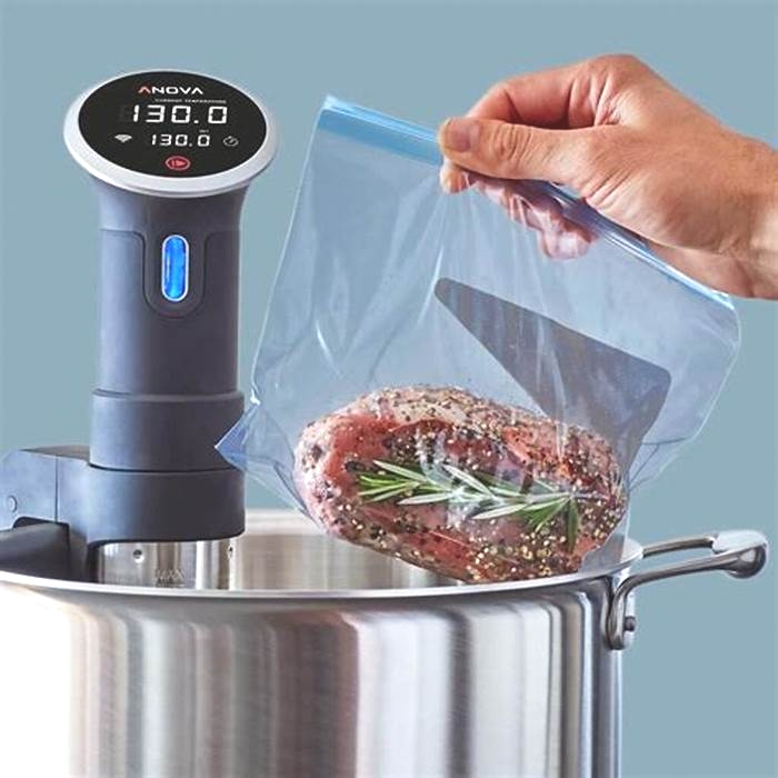 Sous Vide Cooking with Precision Utilizing Immersion Circulators for Perfect Results