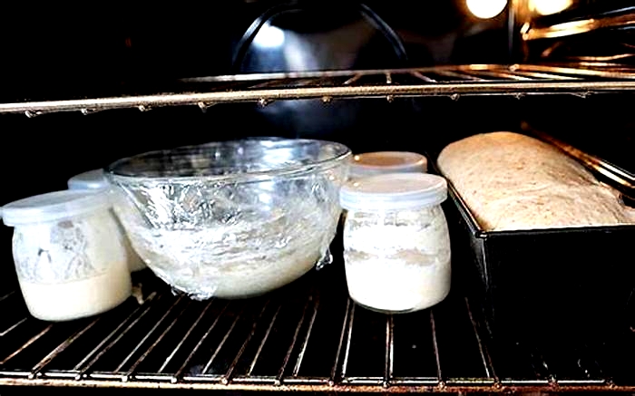 Tech Tools for Baking Mastery with Advanced Techniques Utilizing Dough Proofers and Bread Lamé Tools