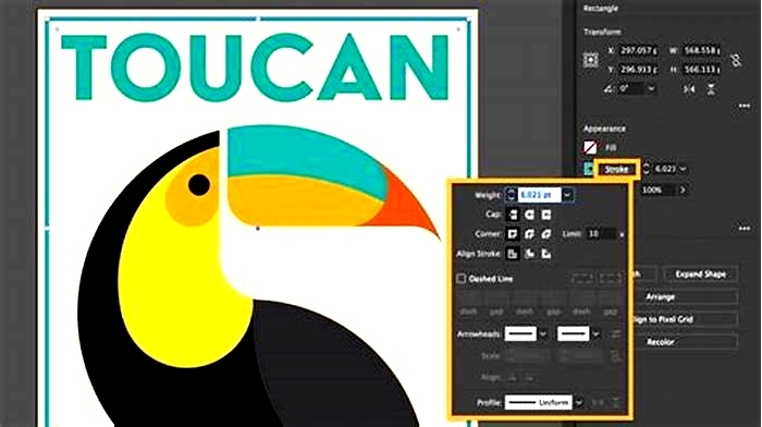 The Complete Tutorial on Using Adobe Illustrator for Graphic Design Projects, Mastering Vector Art and Design